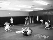 students interested in brazilain jiu jitsu